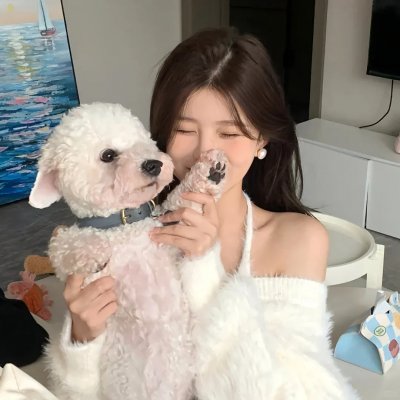 河的研究